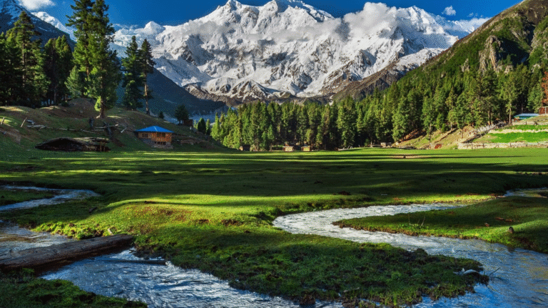 Blog thumbnail image