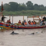 Indus Blind Dolphin Safari in Pakistan 2026-27