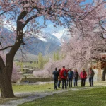 Hunza Blossom Tour 2026
