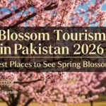 Blossom Tourism in Pakistan 2026: Best Places to See Spring Blossoms